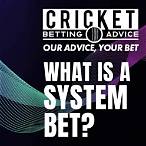 what is a system bet